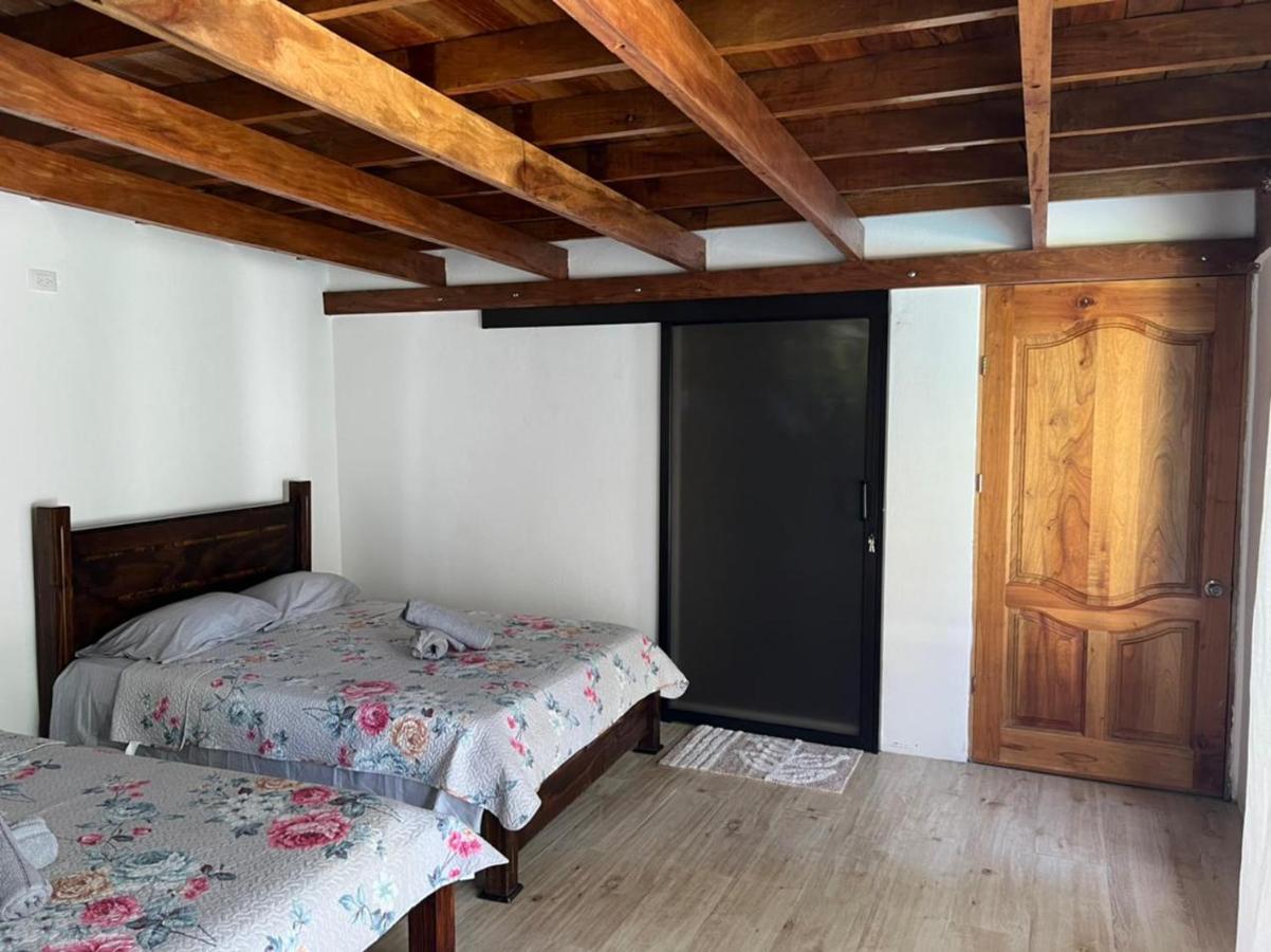 טורטוגוארו Hotel Liah'S מראה חיצוני תמונה